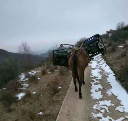 山西深圳骡子运输队